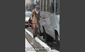 بارش برف در تهران 10