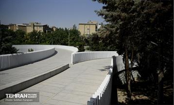 پل تندرستی 5