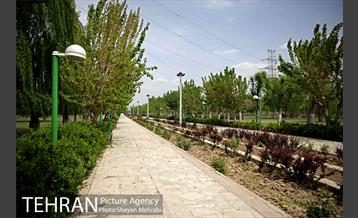 بوستان آزادگان 8