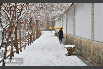 تهران برفی  8