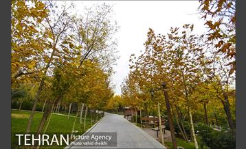 طبیعت پاییزی بوستان فدک 32