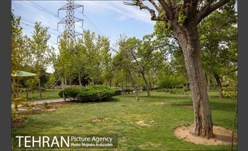 روز طبیعت بدون انسان 17