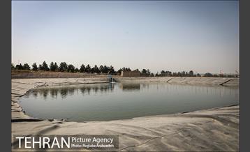 بازدید و افتتاح پروژه های سازمان مدیریت پسماند 11