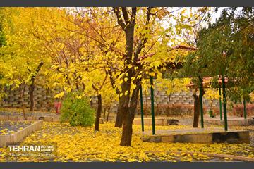 هوای پاییزی پایتخت 11