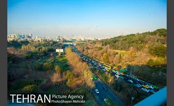 پاییز پل طبیعت 14