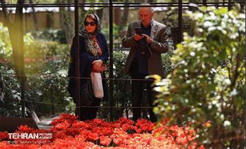 باغ ایرانی میزبان لاله‌ها 35