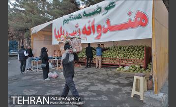 میدان میوه وتره بار شهید غیبی شهرری 11