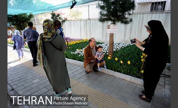 پیاده راه لاله مادران 37