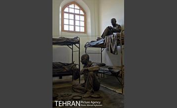 باغ موزه قصر 15