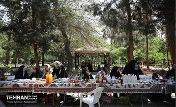 جشنواره غذای سالم 25