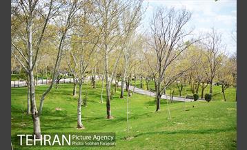 روز طبیعت متفاوت شهر تهران-1 16