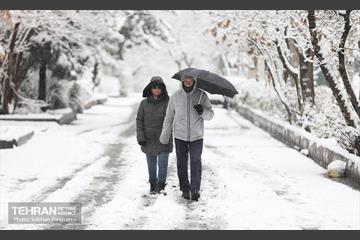 صبح آدینه برفی