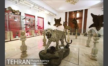 موزه طبیعت و حیات وحش دارآباد 29