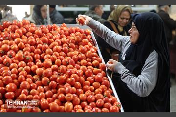 یلدای مادران 25