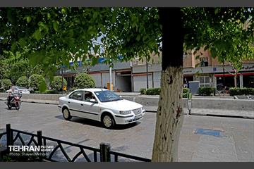 بازگشایی خیابان 17 شهریور 34