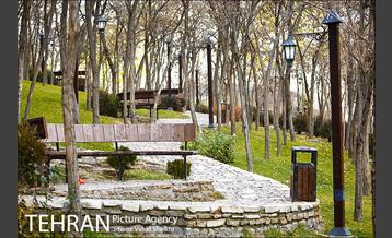 باغ راه فدک 8