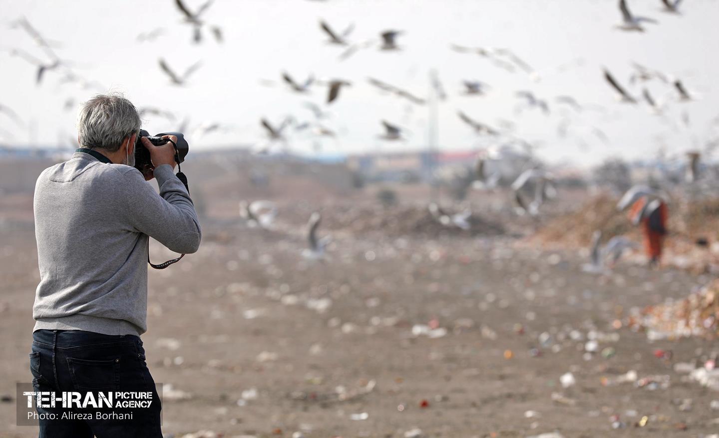 تور بازدید عکاسان از مجتمع آرادکوه 14