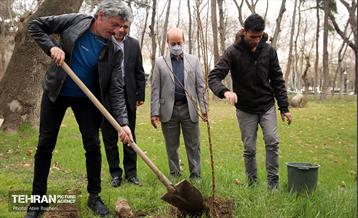 کاشت درخت توسط هنرمندان در فرهنگسرای نیاوران 10