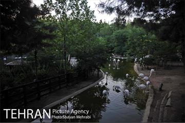 باغ پرندگان تهران 65
