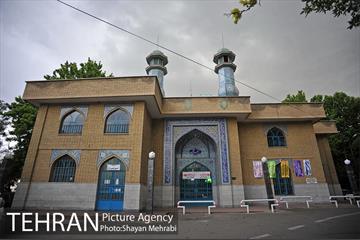 پارک جنگلی لویزان‎ 39