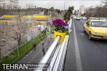استقبال از بهار در خیابانهای تهران 13