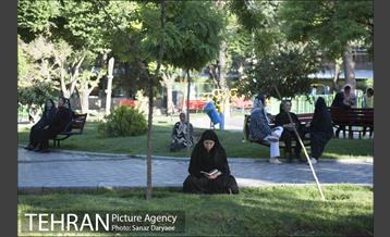 بوستان شقایق 3