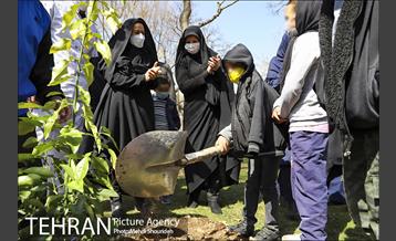 مراسم روز درختکاری در منطقه 7