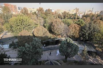 اینجا کارگاهه؛ محوطه سازی حریم تئاتر شهر 46