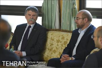 دیدار شهردار تهران با رئیس مجلس ملی مجارستان 7