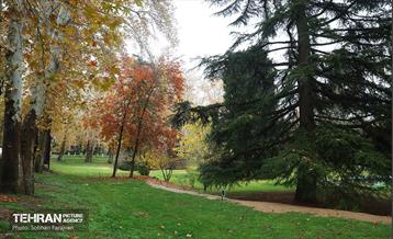 طبیعت پاییزی مجموعه فرهنگی تاریخی سعدآباد  1