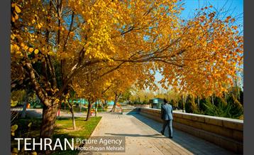 پاییز باغ موزه قصر 19