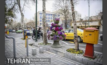 استقبال از بهار در خیابانهای تهران 2