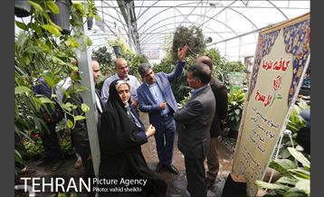 بازدید چند تن از اعضای شورای شهر از پروژه های منطقه 21شهرداری تهران 21