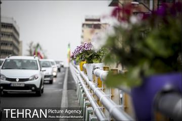 استقبال از بهار در خیابانهای تهران 6