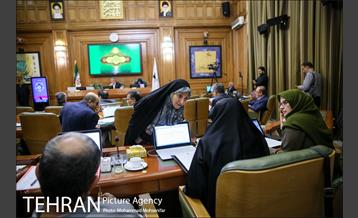 صد و شصت و پنجمین جلسه شورا شهر 17