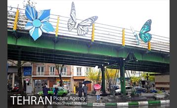 بارش باران پاییزی در تهران 11