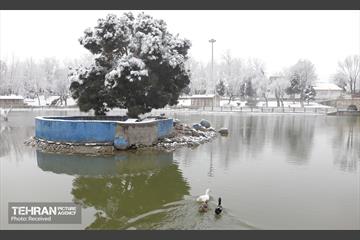 روز برفی تهران - 3 27
