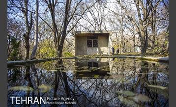 کوچه باغ های محله کن 11