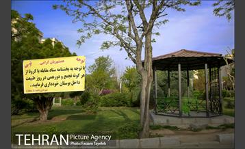 روز طبیعت در بوستان هاى منطقه ٥