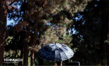 رویداد فرهنگی،هنری «جشن باران» 10