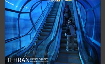 افتتاح پروژه های شهرداری منطقه ۴ 2