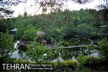 باغ پرندگان تهران 49