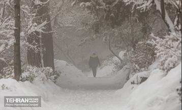 روایت مه‌و‌برف در بوستان سنگی تهران  10