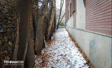 درکه پس از بارش برف  14