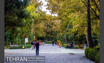 پاییز پارک شهر 14
