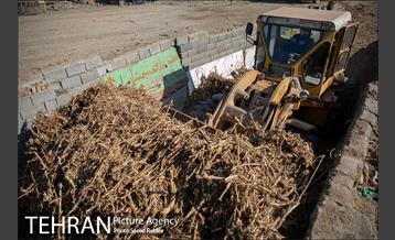 تولید کود کمپوست در پارک جنگلی آزادشهر 25