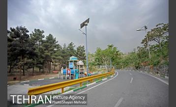 پارک جنگلی لویزان‎ 4