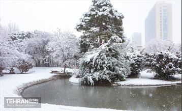 روز برفی در منطقه 6