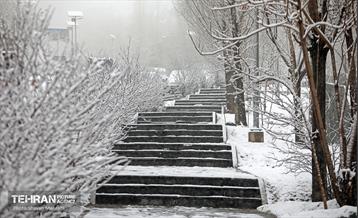 بارش برف زمستانی در تهران 40