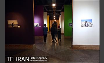 نمایشگاه عکس آرزوهای خط خطی در باغ موزه قصر 15